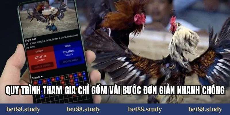 Quy trình tham gia chỉ gồm vài bước đơn giản nhanh chóng